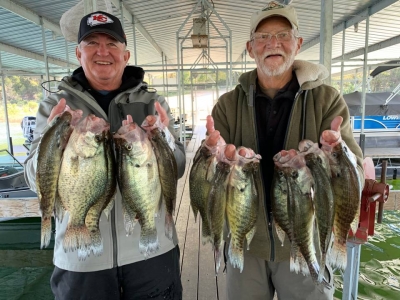Lake Norfork Lake Crappie Fishing, Guides, Baits, and Techniques