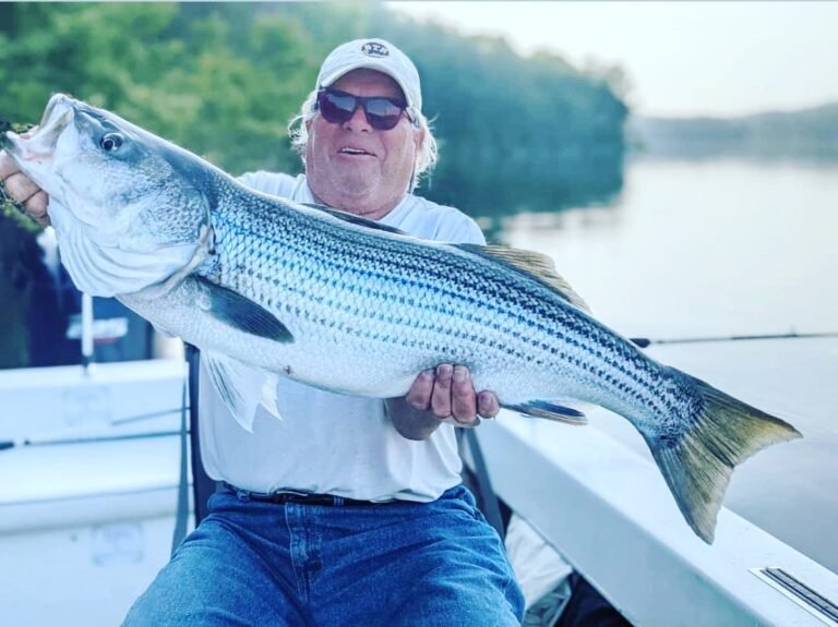 191990337 5768390603202887 4160420605277222412 n 768x575