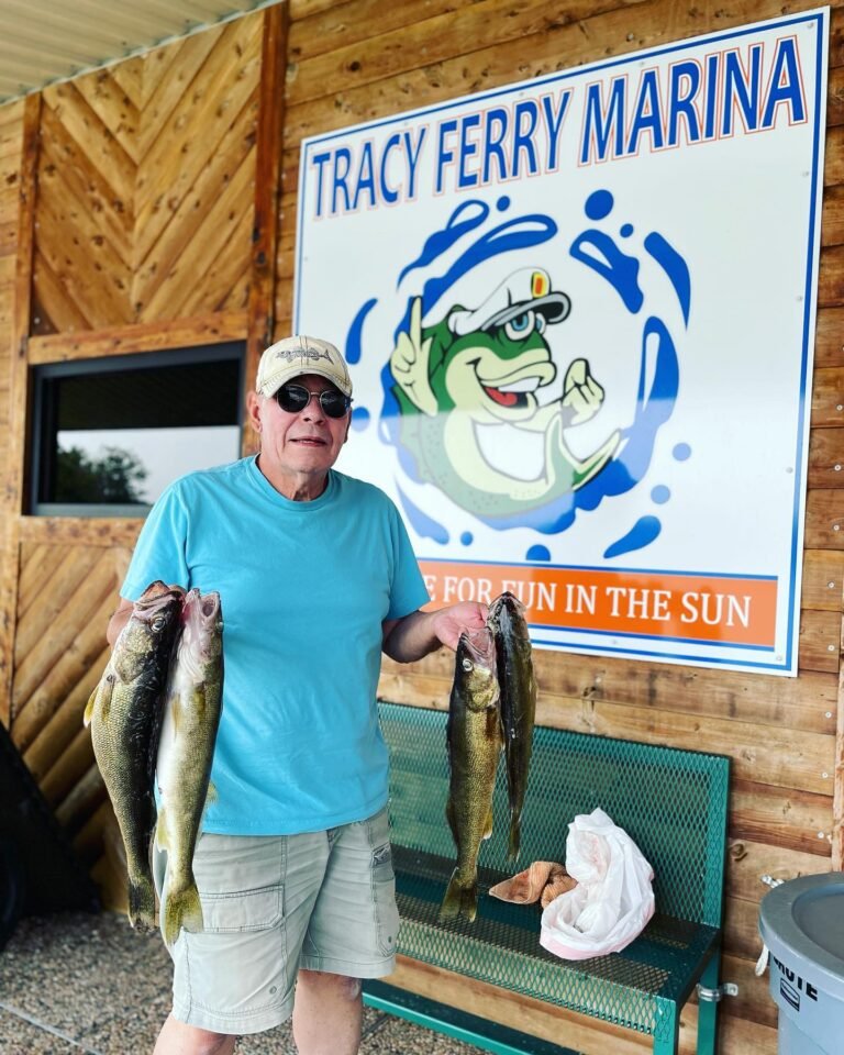 469824898 27945023835112913 4206611714990696503 n 768x960