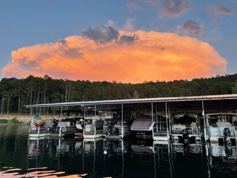 487484279 1207693158025326 8785638625761158771 n 768x576