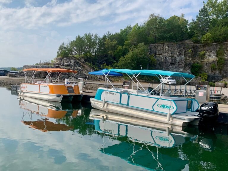 490572503 637927669143383 5972807713880403682 n 768x576