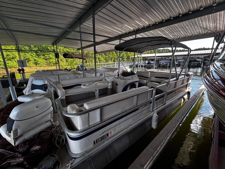 504381542 1183029597195399 5870679252903671236 n 768x576