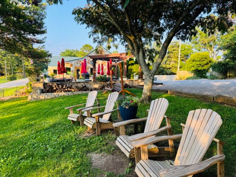 579930739 837300368662056 2230160528906832973 n 768x576