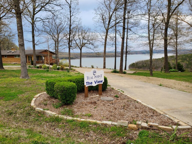 800 the view 103627 768x576