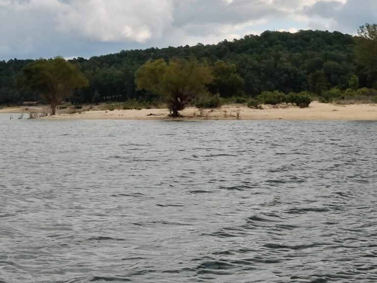 sand island 2 768x576